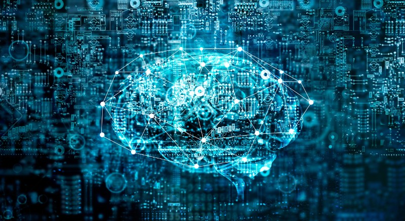 202412311735622970588012.jpg 202412311735622970588012.jpg